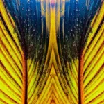 Ángel bajo la lluvia.